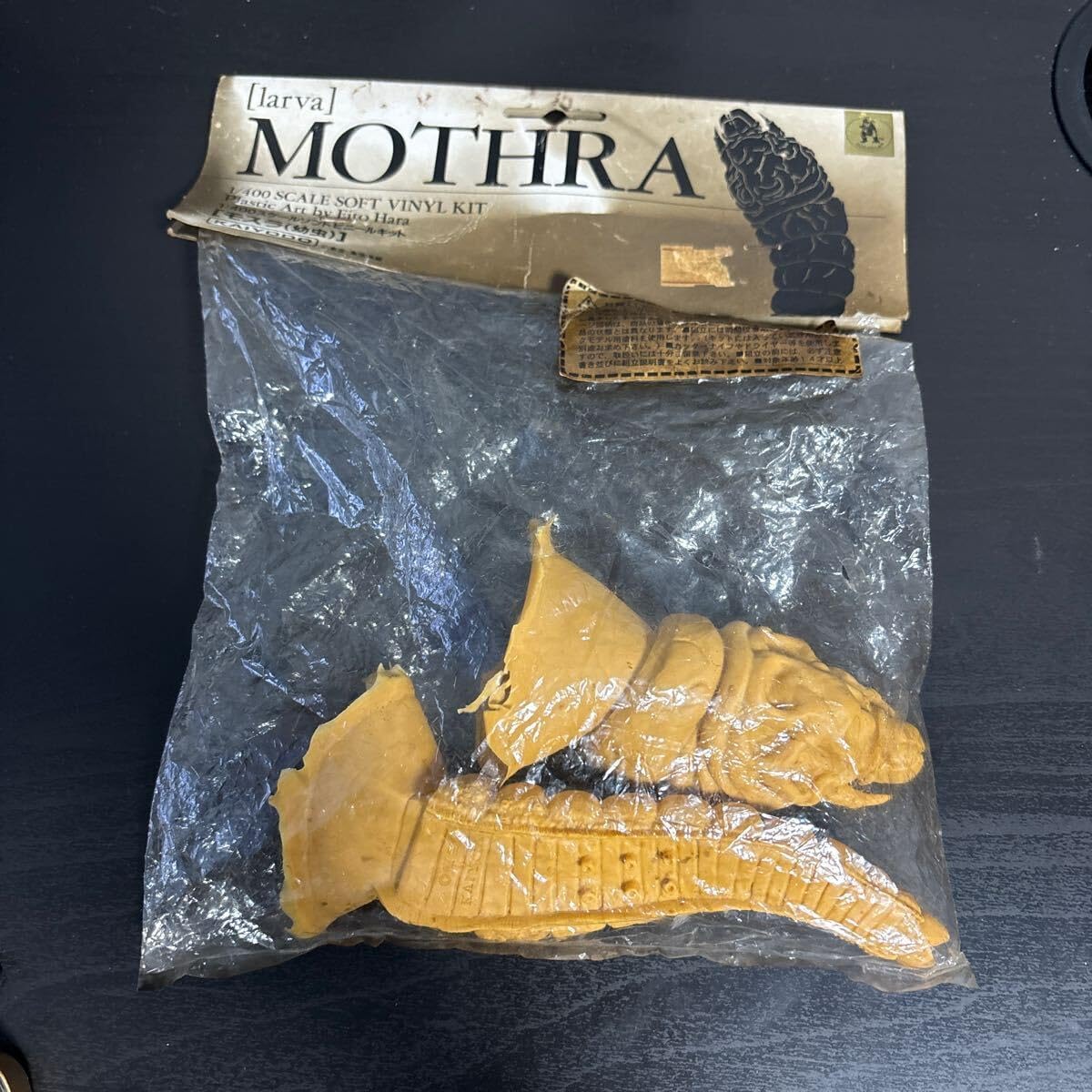 標本 ジャワオオツチバチ ドイツ箱 雌雄セット <1215z昆虫標本